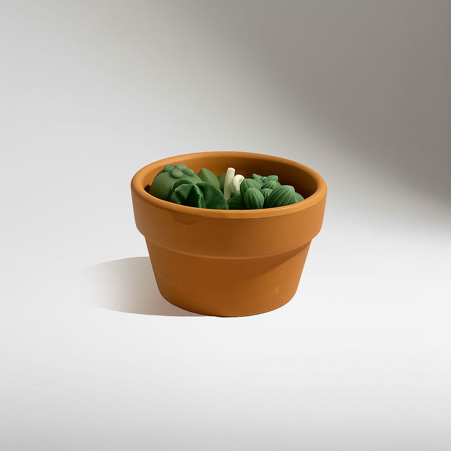 The Cactus Candle