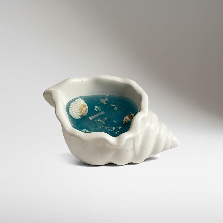The Shell Candle