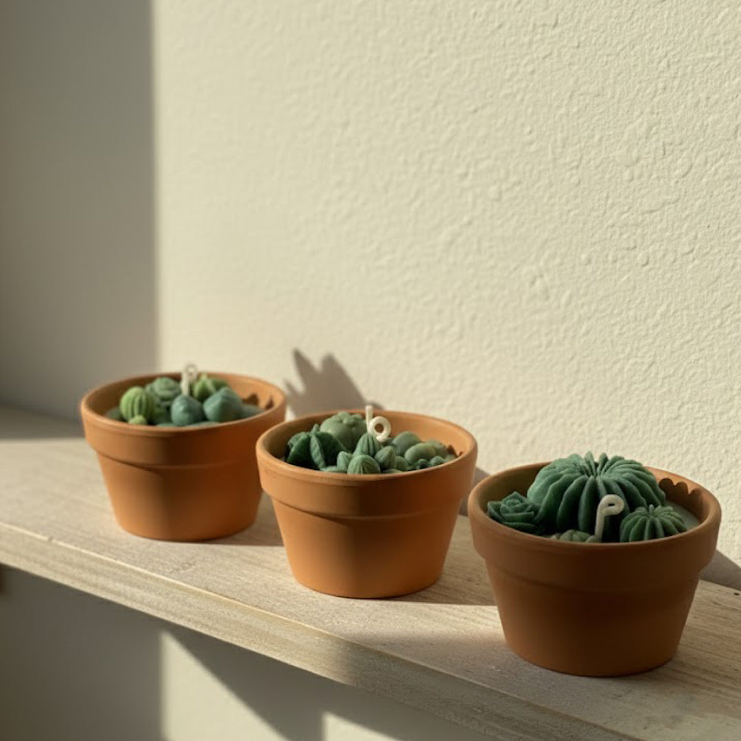 Stillness in the sun (3PCS)