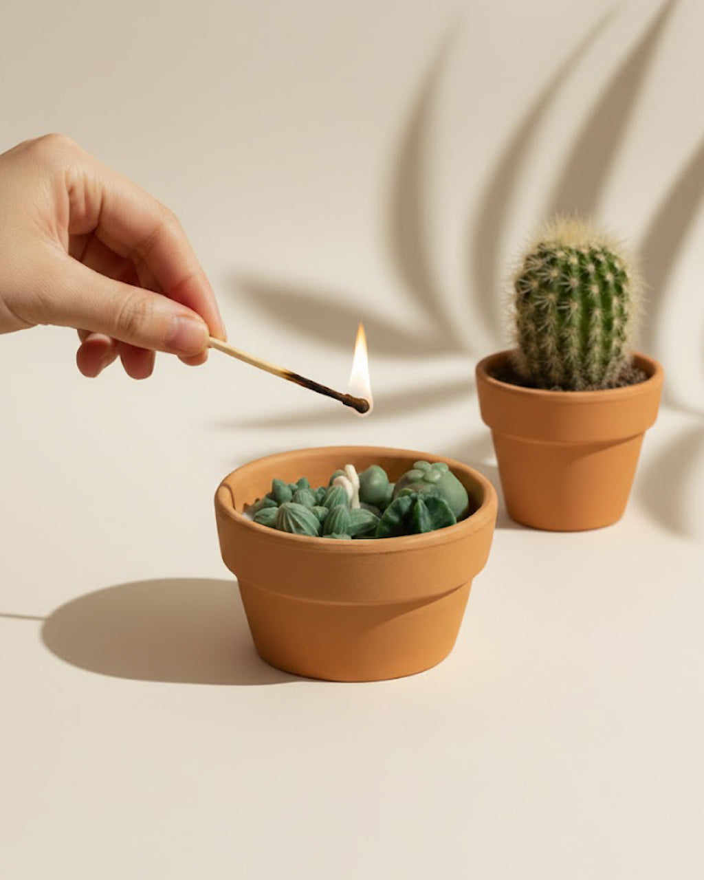 The Cactus Candle